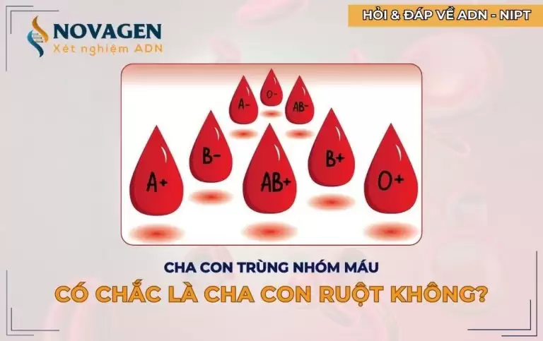 Cha con trùng nhóm máu thì có chắc là cha con ruột không?