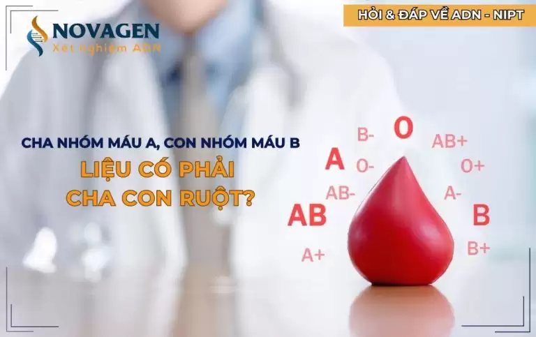 Cha nhóm máu A mà con nhóm máu B liệu có phải cha con ruột?