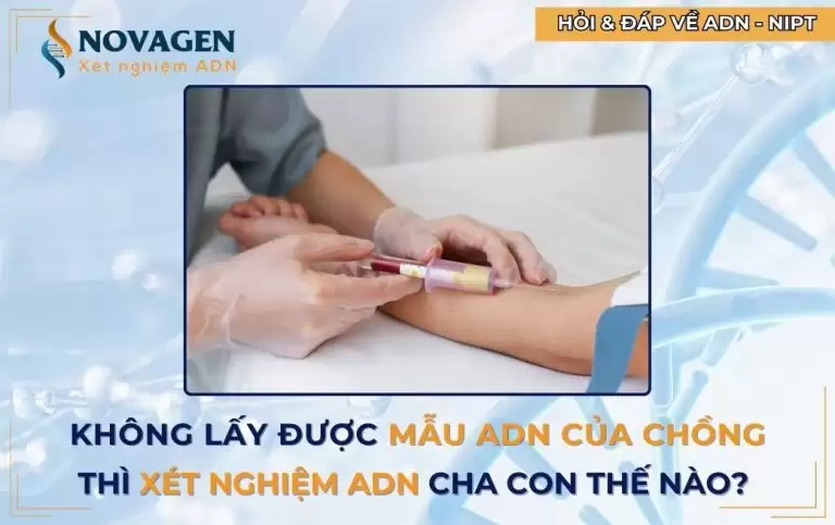 Không lấy được mẫu ADN chồng thì thử ADN cha con thế nào?