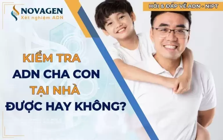 Có thể tự kiểm tra ADN cha con tại nhà được không? Cách xét nghiệm adn tại nhà
