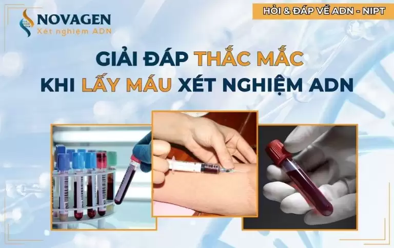 Lấy máu xét nghiệm ADN cần những gì? Giải đáp từ chuyên gia 2025