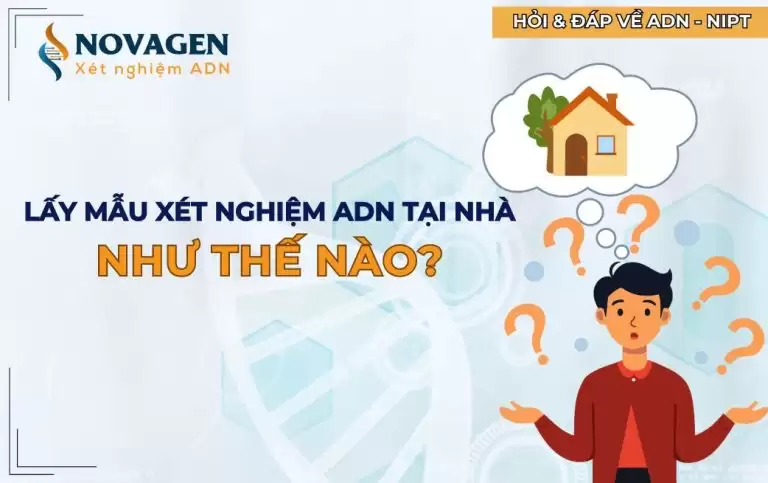 Lấy mẫu xét nghiệm ADN tại nhà như thế nào?