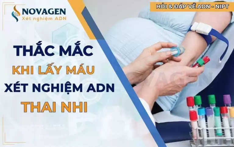 Thắc mắc về việc lấy máu xét nghiệm ADN thai nhi (ADN cha con trước sinh)