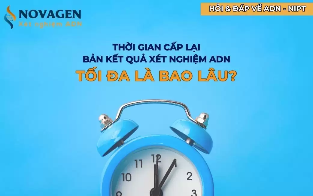 Thời hạn cấp lại bản kết quả tối đa là bao lâu?
