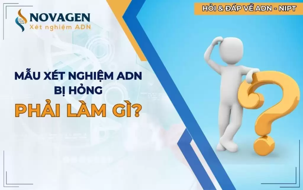 Mẫu xét nghiệm ADN bị hỏng thì phải làm gì?