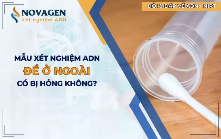 Mẫu xét nghiệm ADN để ở ngoài có bị hỏng không?