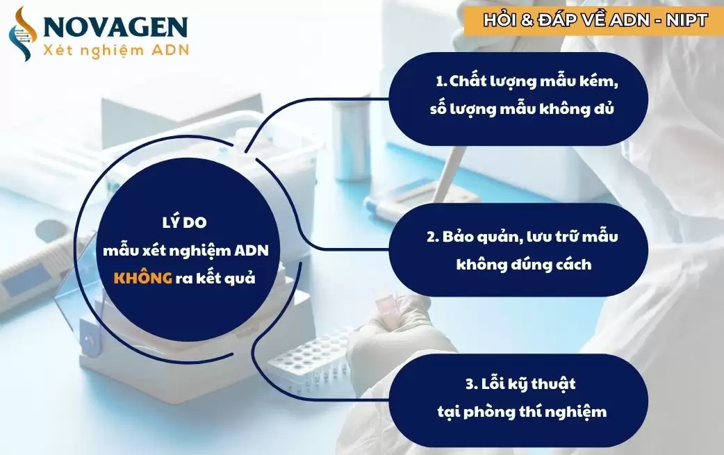 Tại sao mẫu xét nghiệm ADN không ra kết quả? Tại sao mẫu xét nghiệm ADN không ra kết quả?