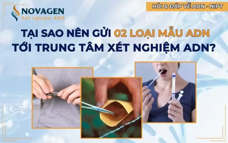 Tại sao nên gửi 2 loại mẫu ADN tới trung tâm xét nghiệm ADN?