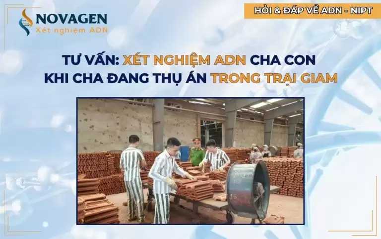 Tư vấn: Làm xét nghiệm ADN cha con khi cha đang thụ án trong trại giam