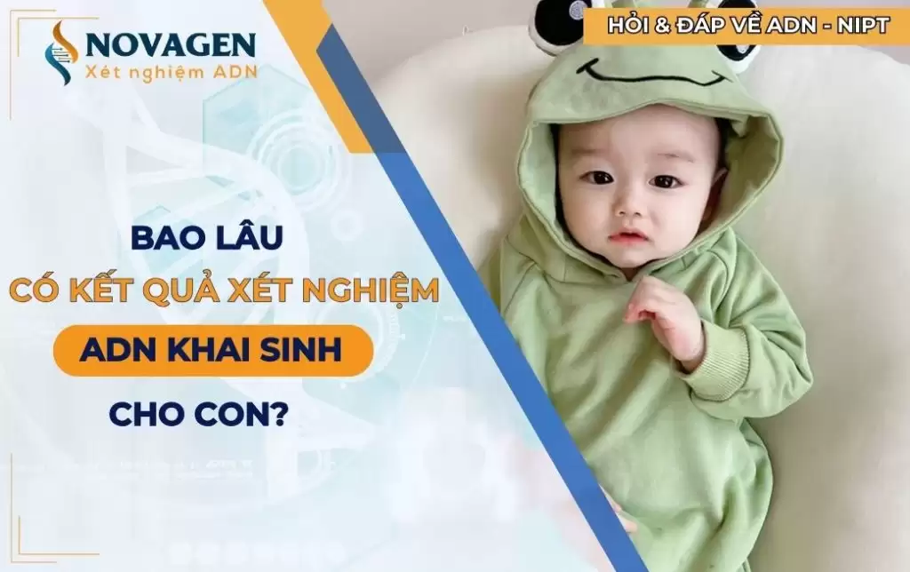 Bao lâu có kết quả xét nghiệm ADN để làm khai sinh cho con? 