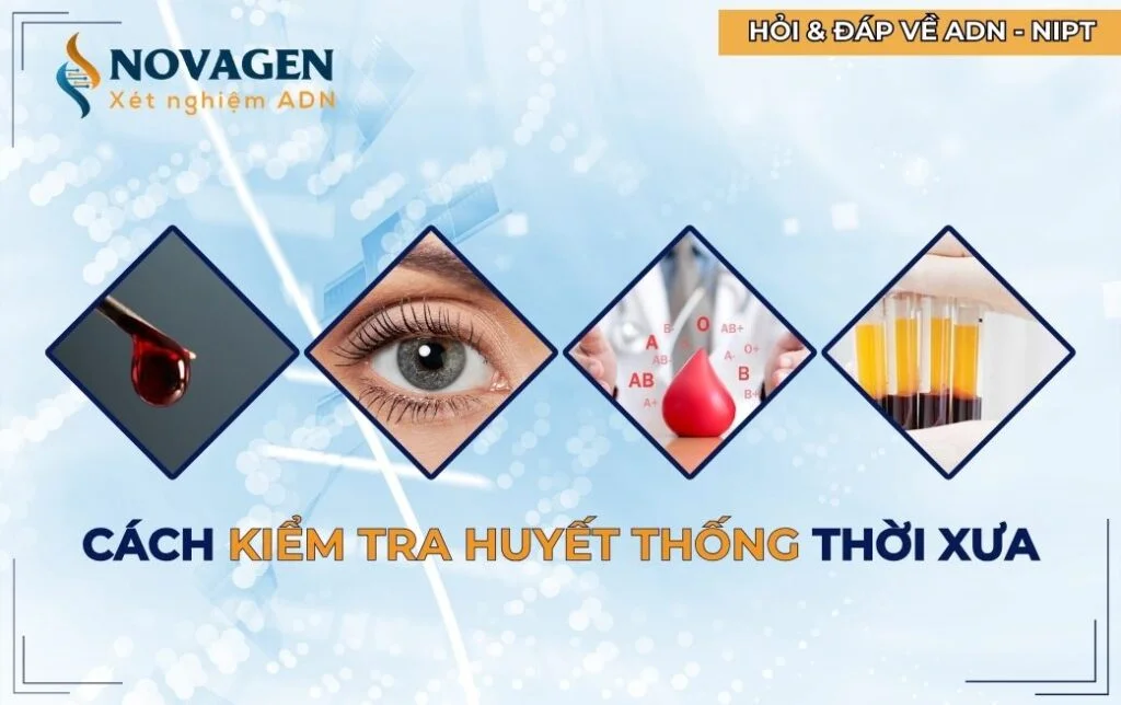 Tổng Hợp Các Cách Kiểm Tra Huyết Thống Thời Xưa