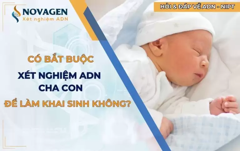 Có bắt buộc phải xét nghiệm ADN mới khai sinh được hay không?