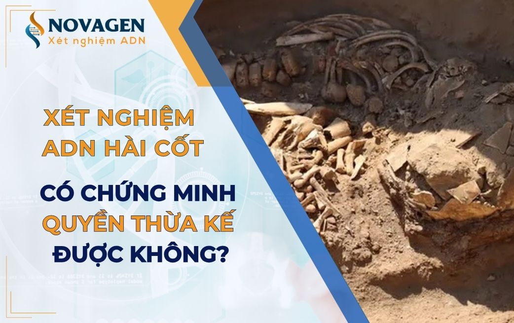 Có thể xét nghiệm ADN hài cốt để chứng minh quyền thừa kế không? 