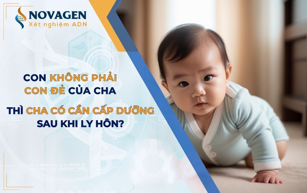 Con không phải của con đẻ của cha khi ly hôn có phải cấp dưỡng