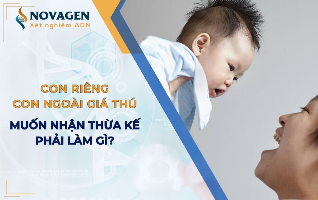 Con riêng hay con ngoài giá thú muốn nhận thừa kế phải làm gì? 