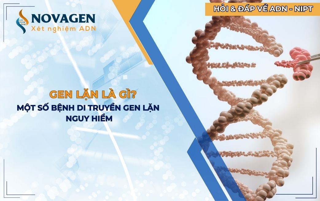 Gen lặn là gì? Một số bệnh di truyền gen lặn nguy hiểm