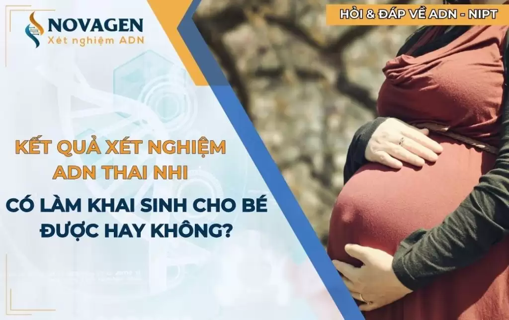 Kết quả xét nghiệm ADN thai nhi có dùng để khai sinh cho con được không? 