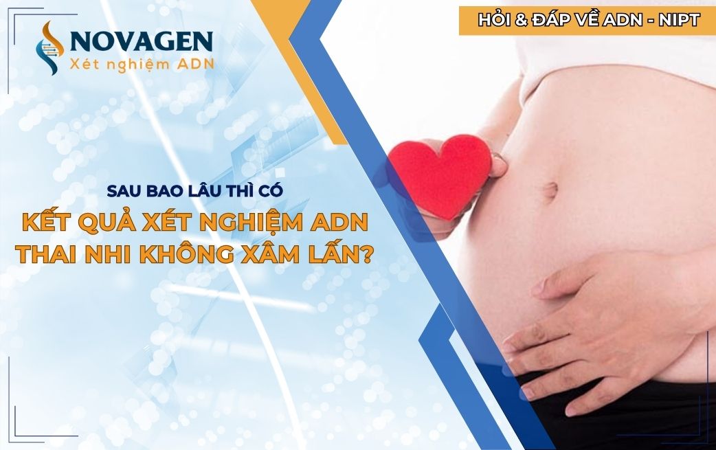 Sau bao lâu thì có kết quả xét nghiệm ADN thai nhi không xâm lấn?