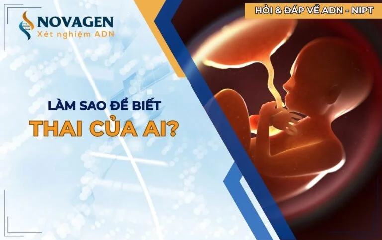 Làm sao để biết thai của ai?