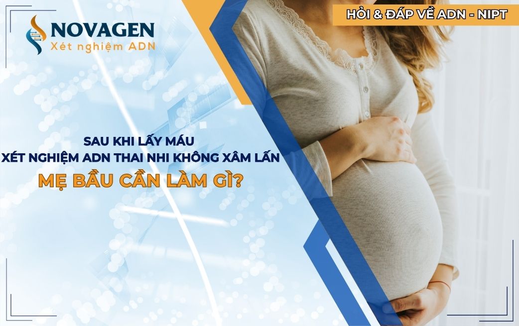 Sau khi lấy máu xét nghiệm ADN thai nhi không xâm lấn mẹ bầu cần làm gì?