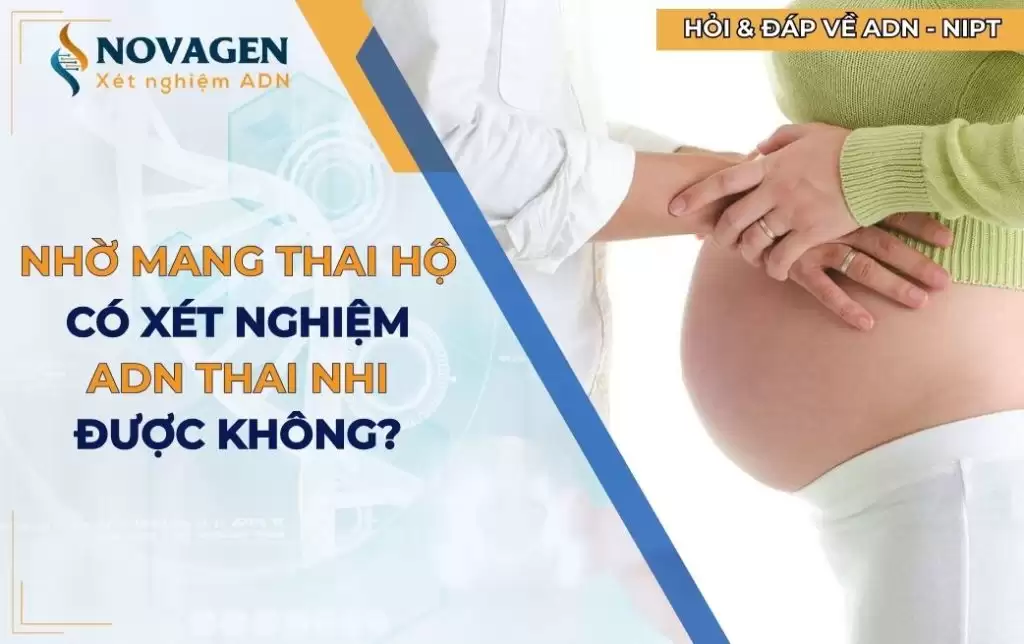 Khi nhờ người mang thai hộ có xét nghiệm ADN cha con trước sinh được không?