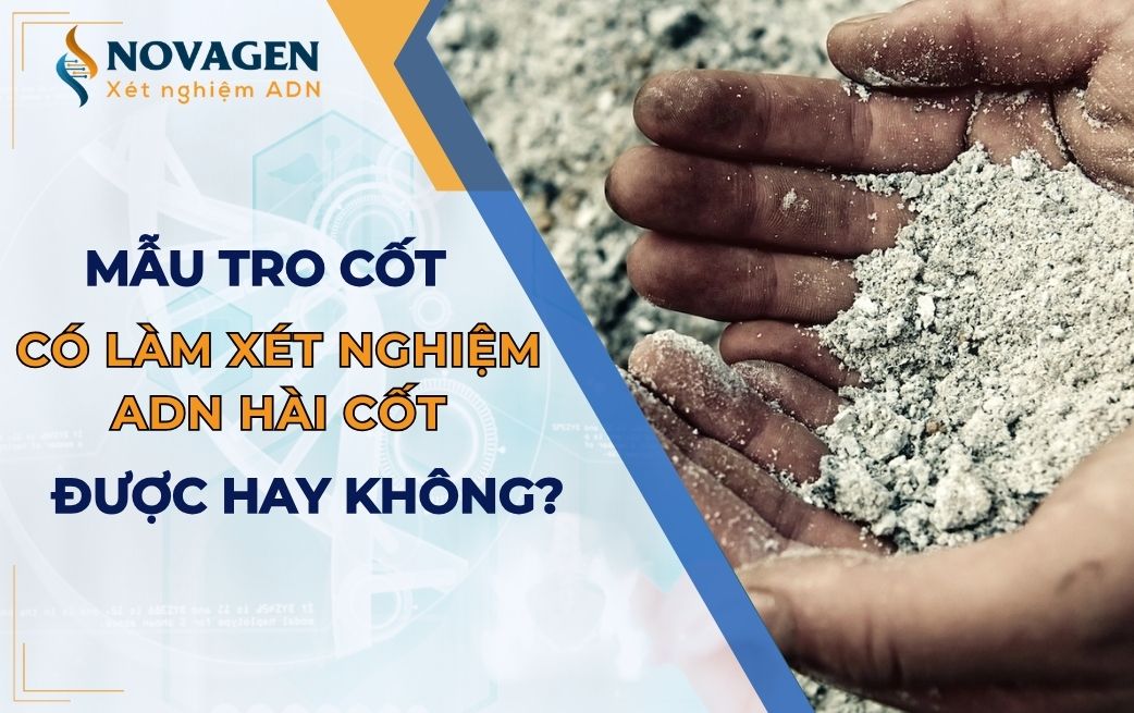 Mẫu tro cốt có làm xét nghiệm ADN hài cốt được không?