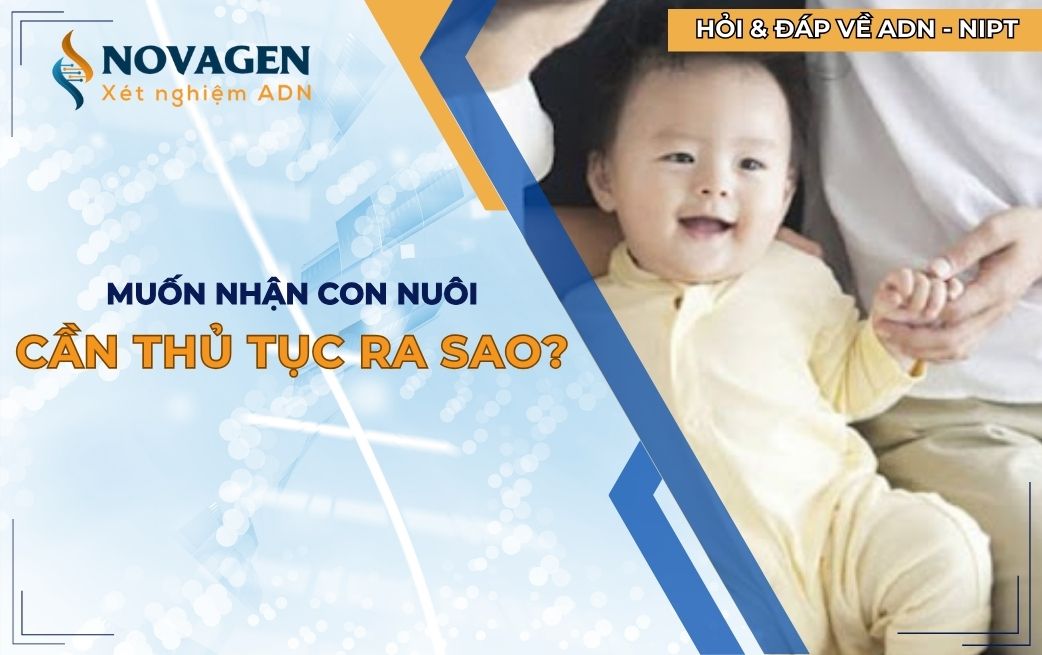 Muốn nhận con nuôi cần thủ tục ra sao?