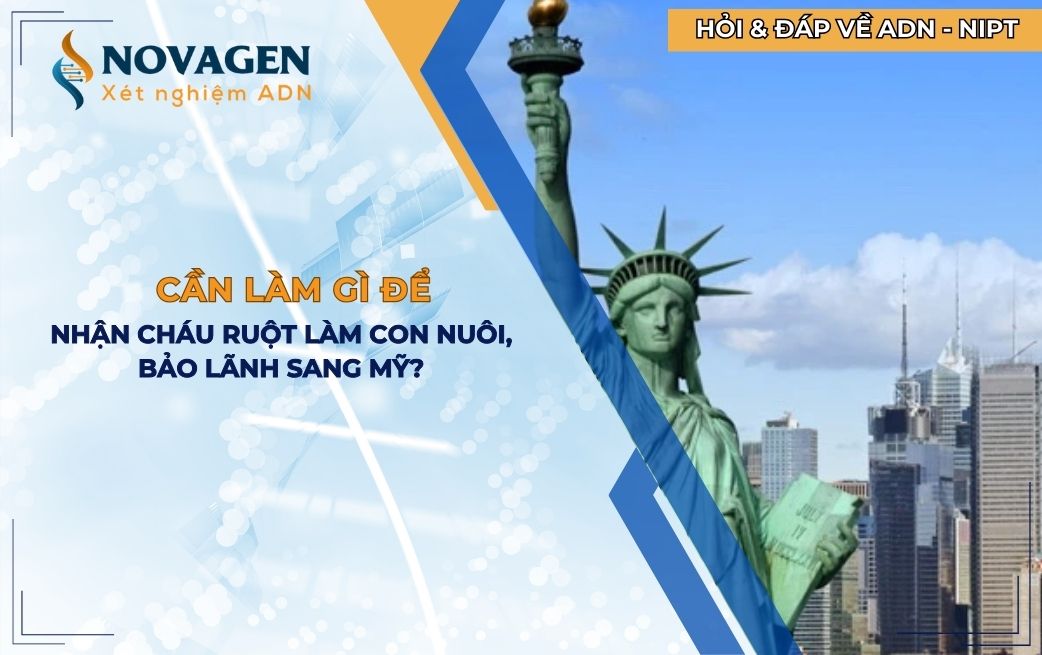 Cần làm gì để nhận cháu ruột làm con nuôi, bảo lãnh sang Mỹ?