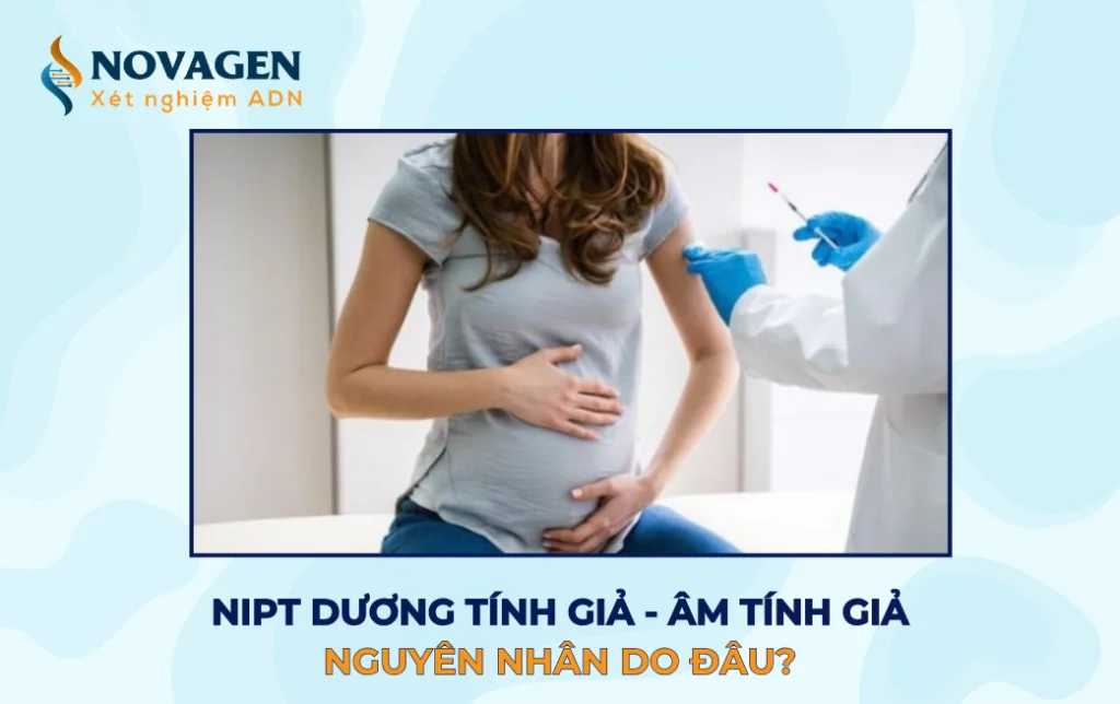 NIPT dương tính giả và NIPT âm tính giả: Nguyên nhân do đâu? 