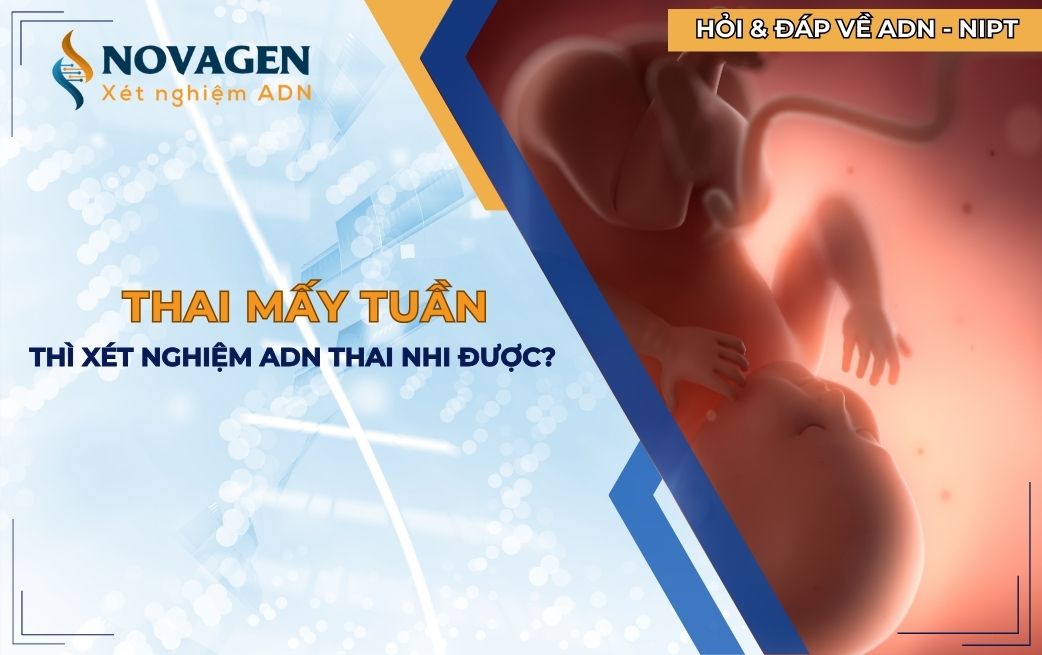 Thai mấy tuần thì xét nghiệm ADN thai nhi được?