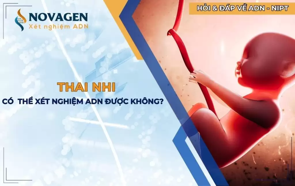 Thai nhi có thể xét nghiệm ADN được không?
