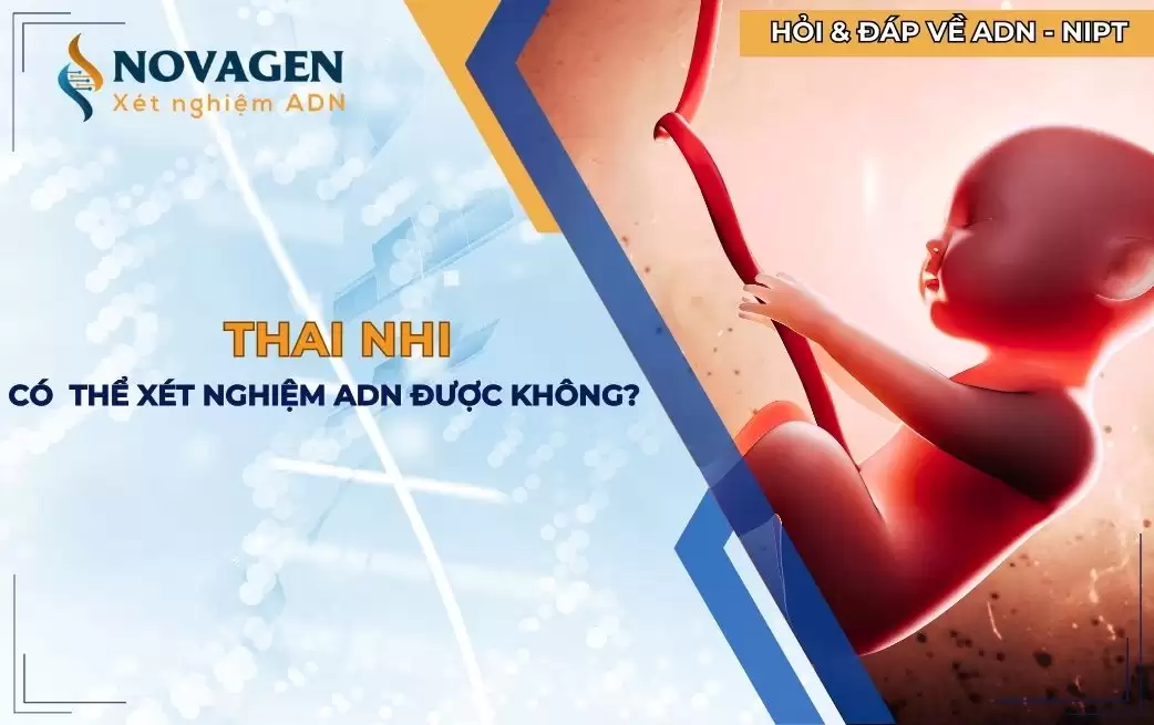 Thai nhi có thể xét nghiệm ADN được không?