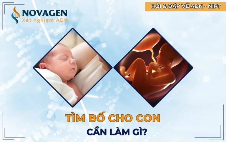Tìm bố cho con thì cần làm gì?