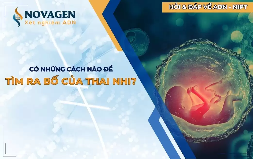 Có những cách nào để tìm ra bố của thai nhi? Kiểm tra huyết thống thai nhi thế nào? Có những cách nào để tìm ra bố của thai nhi? Kiểm tra huyết thống thai nhi thế nào?
