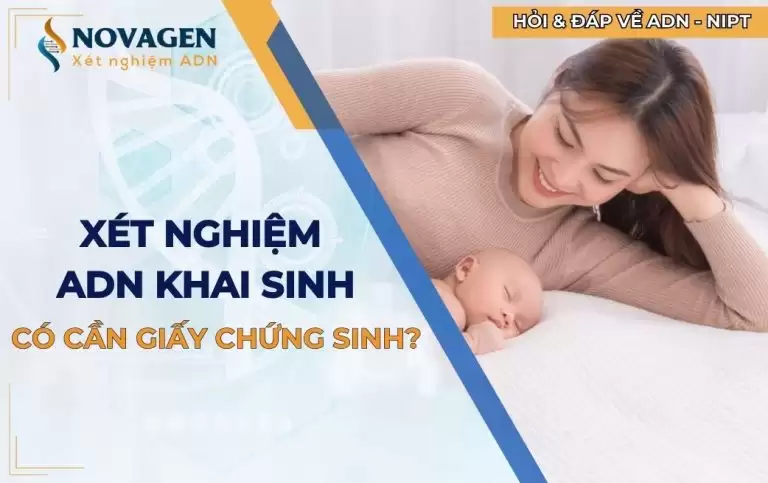 Xét nghiệm ADN khai sinh có cần giấy chứng sinh hay không?