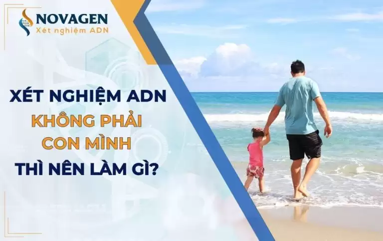 Xét nghiệm ADN không phải con mình thì cần làm gì?