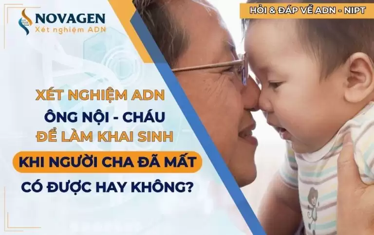 Xét nghiệm ADN ông nội và cháu để làm khai sinh khi cha đã mất được không?