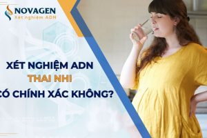 Xét Nghiệm ADN Thai Nhi Có Chính Xác Không?