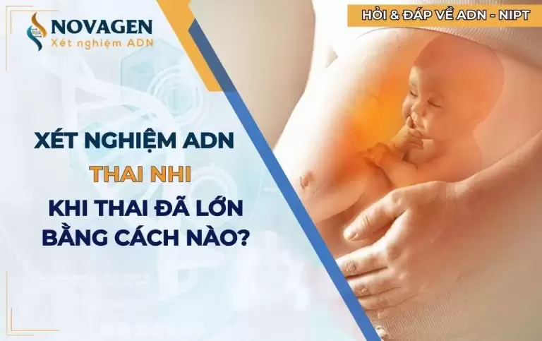 Có cách nào để xét nghiệm ADN thai nhi khi thai lớn không?