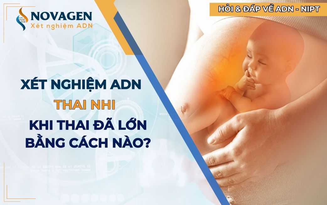 Xét nghiệm ADN thai nhi khi thai lớn bằng cách nào?