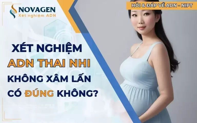 Xét nghiệm ADN thai nhi không xâm lấn có đúng không? Có thể sai không? 