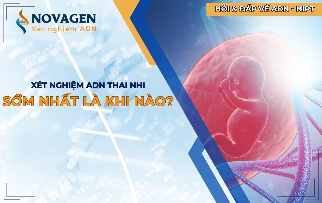 Xét nghiệm ADN thai nhi sớm nhất là khi nào? Mang bầu 7 tuần đã có thể xét nghiệm được chưa?