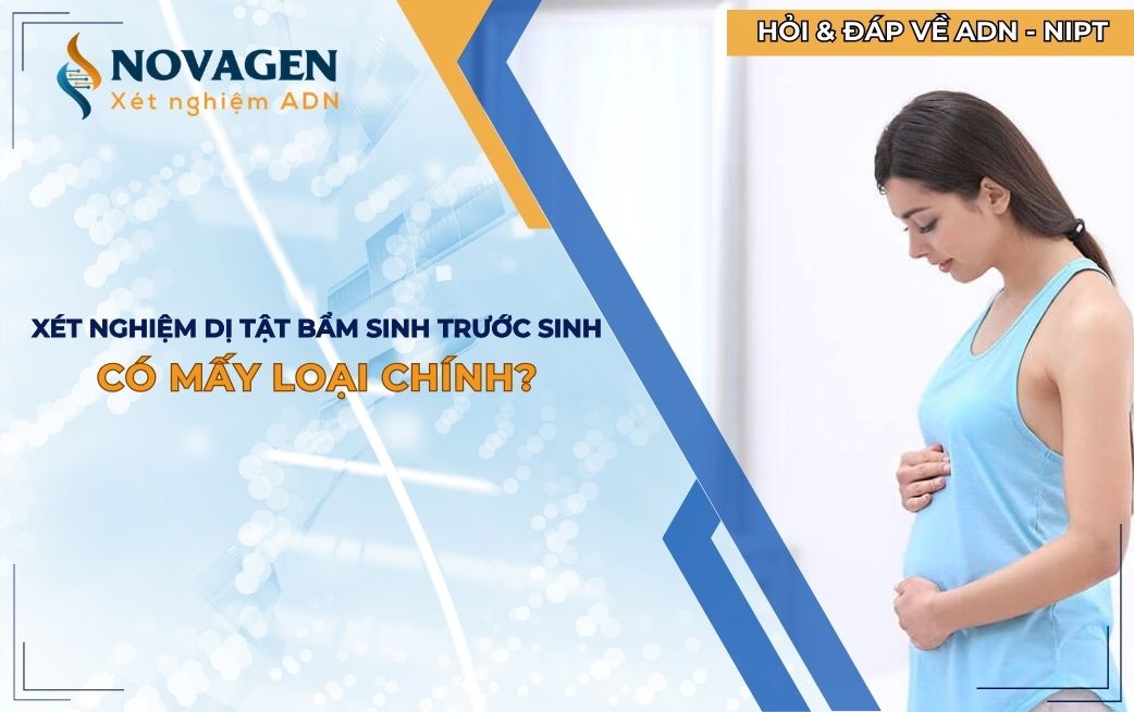 Xét nghiệm dị tật bẩm sinh trước sinh có mấy loại chính?