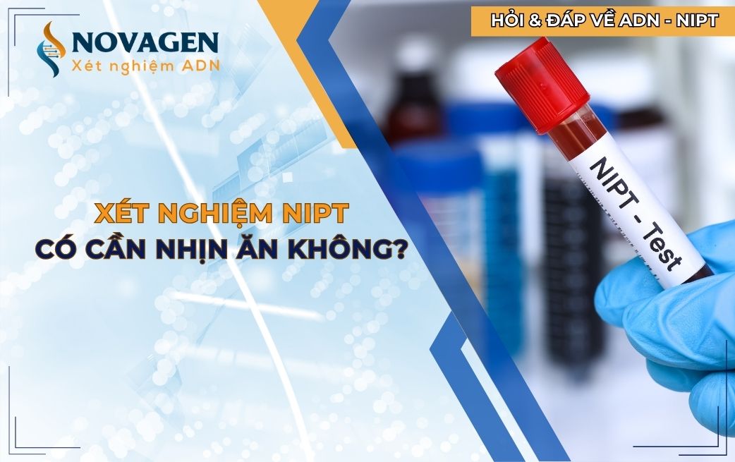 Xét nghiệm NIPT có cần nhịn ăn không?