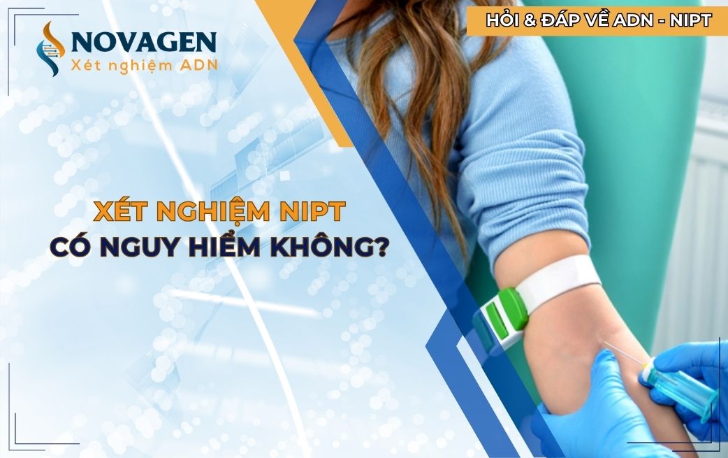 Xét nghiệm NIPT có nguy hiểm không?