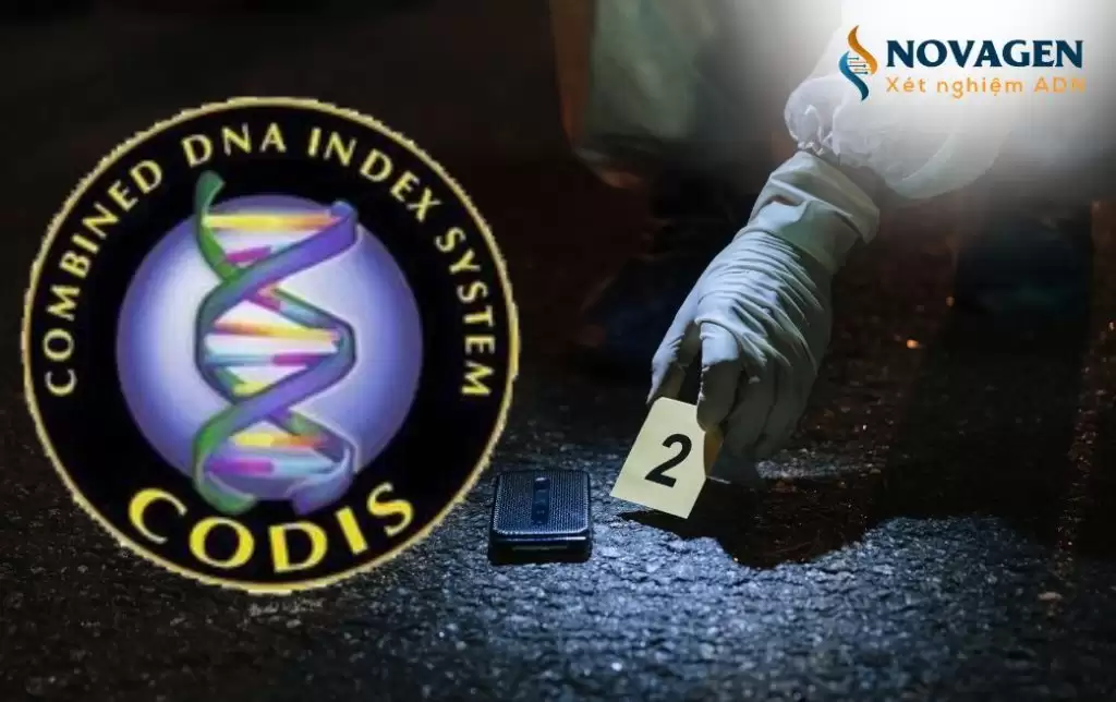 CODIS là gì? Tìm hiểu về cơ sở dữ liệu ADN quốc gia của Hoa Kỳ