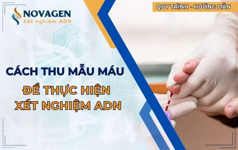 Cách thu mẫu máu để thực hiện xét nghiệm ADN