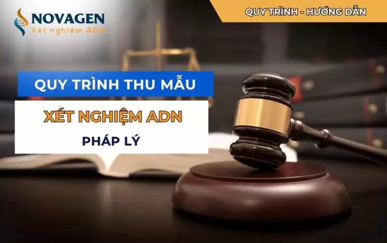 Quy trình xét nghiệm ADN như thế nào? Mất bao lâu có kết quả?
