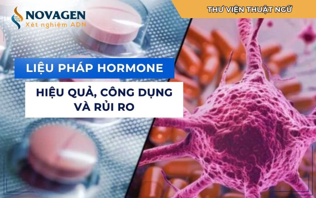 Liệu pháp Hormone: Hiệu Quả, Công Dụng và Rủi Ro