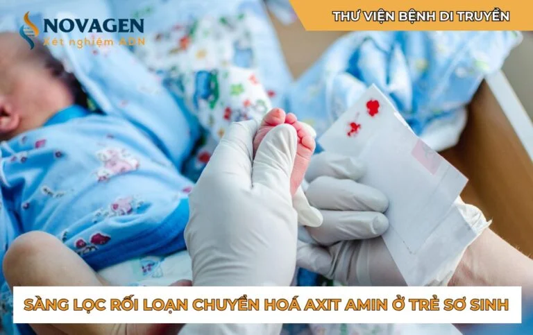 Tổng quan về rối loạn chuyển hóa axit amin